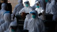PTIČJI GRIP DOLAZI U SRBIJU: Sećate li se kako smo pre 10 godina svi strahovali od ove epidemije?