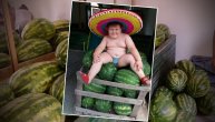 Nikoline lubenice žele svi: Preslatki dečačić je najbolja ispomoć mami i sestri i cela Kikinda ga obožava (FOTO)