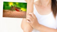 10 prostih načina da smanjite bol, svrab i otok kada vas ujede komarac