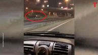 Ludačka vožnja u Beogradu: Vozio u suprotnom smeru od Mostarske petlje do Autokomande (VIDEO)