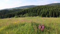 Interesantna sam po sebi, ova srpska planina je poznata i po okolnim znamenitostima